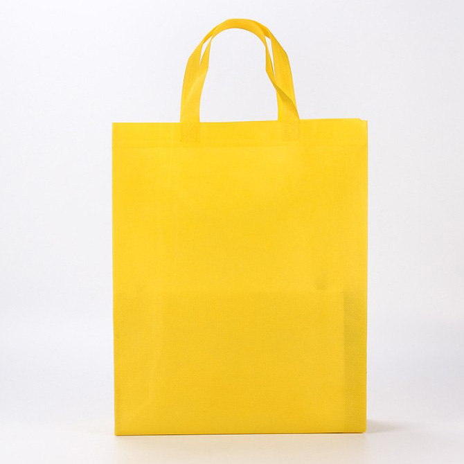 Eco-friendly promotional ultrasonic non woven shopping bag