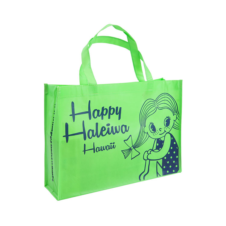Wholesale Custom Shopping Non-Woven Recycle Laminated PP Non Woven Bags