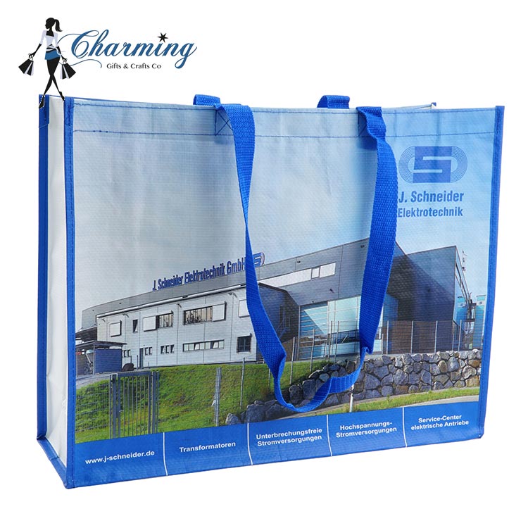 Custom Non-Woven Grocery woven bag Plastic Promotional grocery Bag woven shopping bag