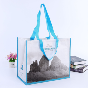 Recyclable cheap custom printed Laminated tote shopping pp woven bag