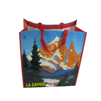 Wholesale Promotional Cheap Logo Printed Reusable Waterproof Laminated Tote Shopping Bag PP Woven Bag nga adunay Handle